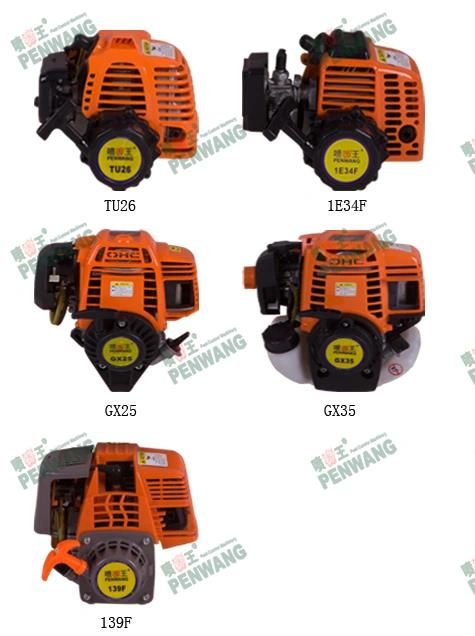 Knapsack/Backpack Gasoline Power Sprayers with Ce (F-768)