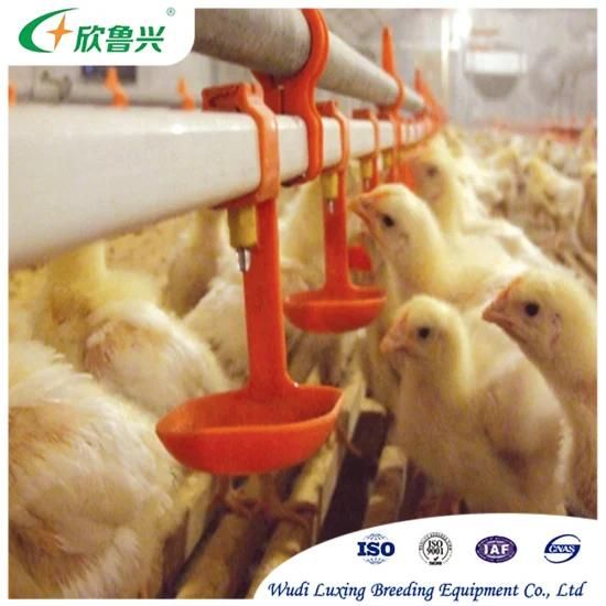 Modern Design Poultry Farm Cage Multi Tiers Galvanized H Type Broiler Battery Cages