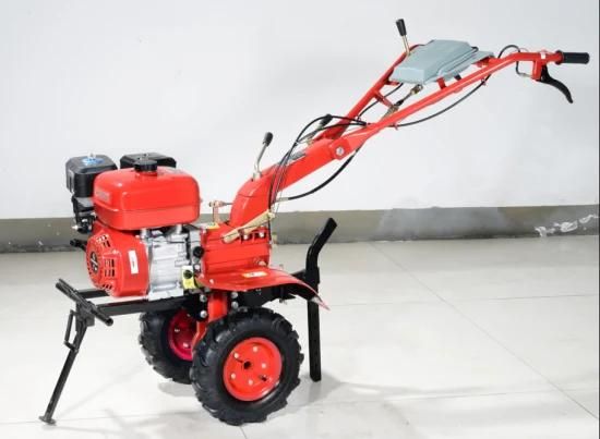 Gasoline Mini Tiller with New Handle and Tool Bag (1WG8.2-2)
