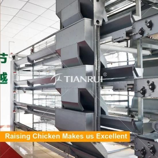 China Factory Supply Automatic H Type Battery Layer Chicken Cage