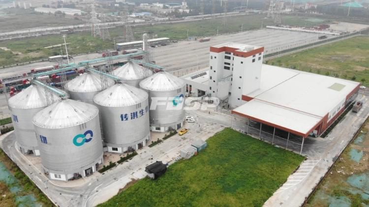 Poultry Feed Grain Processing Production Line