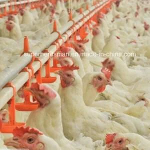Poultry Equipment Drinking Nipples for Broiler Chicken