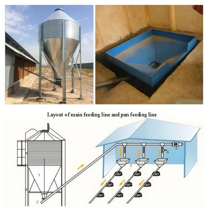 2021 Hot Sale Low Price Automatic Broiler Feed Equipment on Poultry Farm