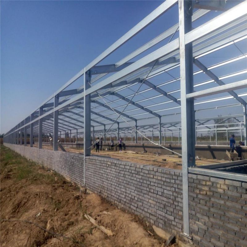 Xgz Group′s Poultry Farm Chicken Cage