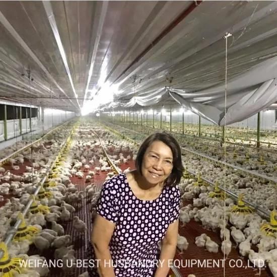 Prefab Light Steel Structure Poultry Farm Broiler Chicken House Poultry House