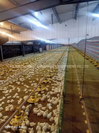 Popular Sale Tunnel Ventilated Poultry House Equipment with Water Line System and Poultry ...