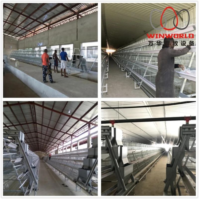 4 Tiers Full Automatic Chicken Cage System