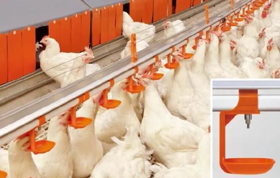 Poultry Farm Nipple Water Feed Chicken Drinker System