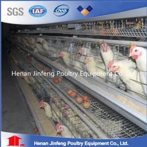 Poultry Equipment Automatic Chicken Battery Cage for Sale