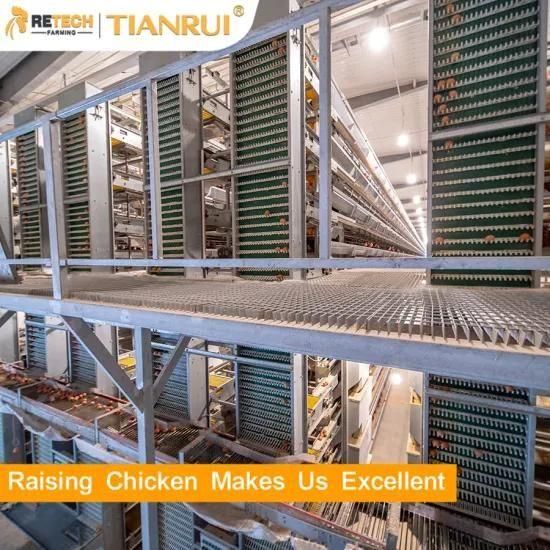 Automatic Poultry Farm Egg Collection Machine System