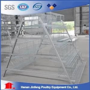 Jinfeng Poultry Solution Automatic Poultry Equipment