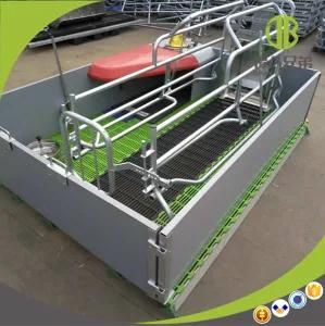 High Quality Cheap Price Automatic Farrowing Crate for Pig Sow Stall