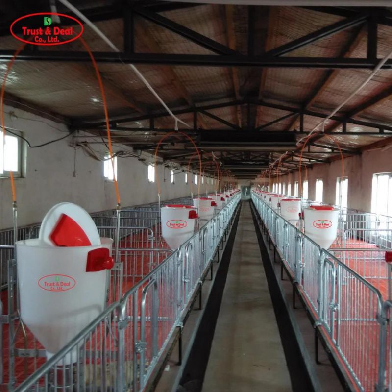 2021 New Arrival Stainless Steel Feeder Dry Wet Feeder for Pig Sow Swine Farm Equipment