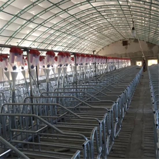 Xgz Group's Very Popular Automated Farming Equipment for Pigs