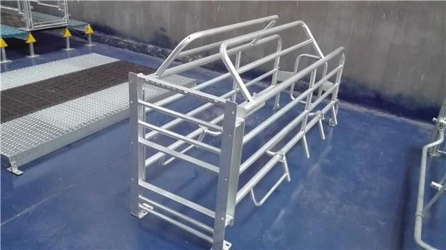 Wholesale Animal Livestock Cages Sow Stall Used Pig Farrowing Crates for Sale