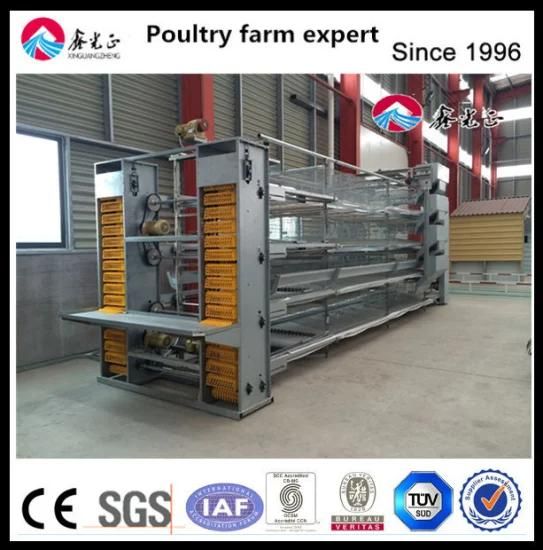 Poultry Breeding Equipment