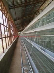 Low Cost Chicken Broiler Poultry Shed Farm Equipment Design