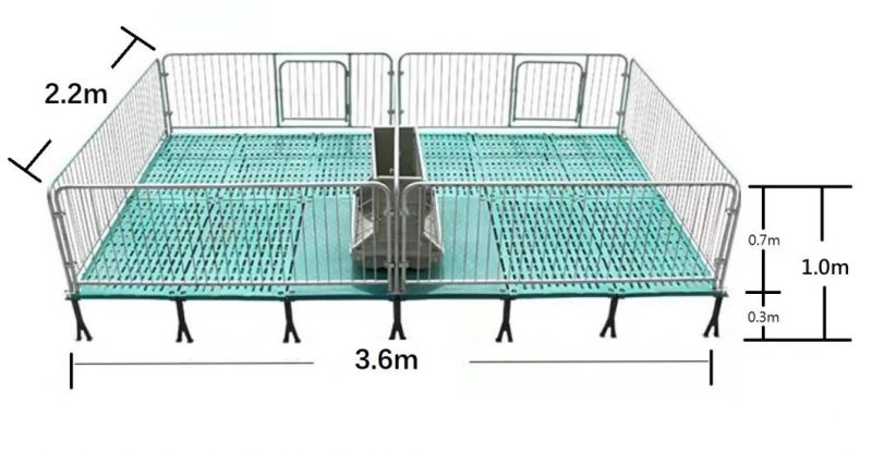 Pig Farming Equipment Galvanized Railing Cages Piglet Nursery Crate