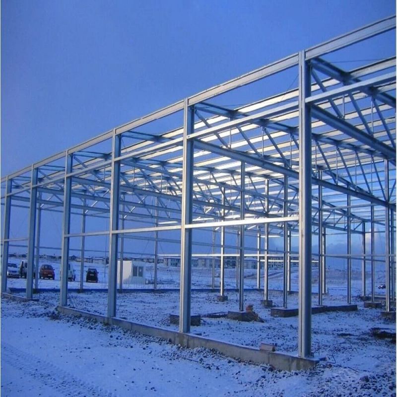 Undertake H Steel / C-Type Steel / Square Tube Truss Structure Poultry House Construction Site