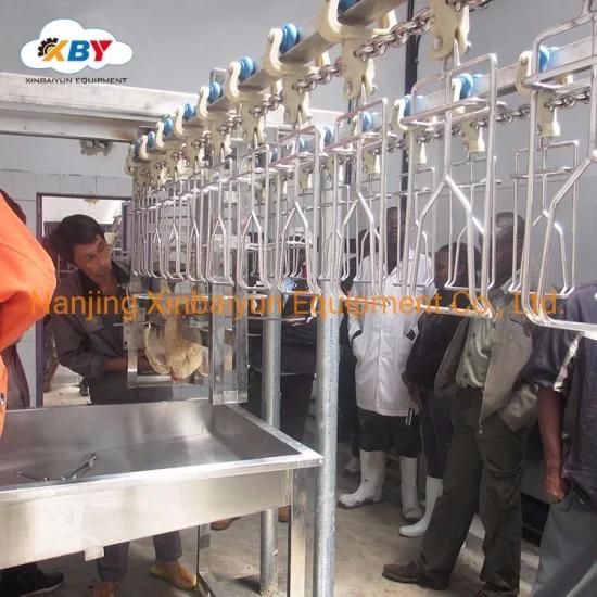 Used to Factory Chicken Slaughtering Equipment/ Eviscerate Pre-Chilling Machine