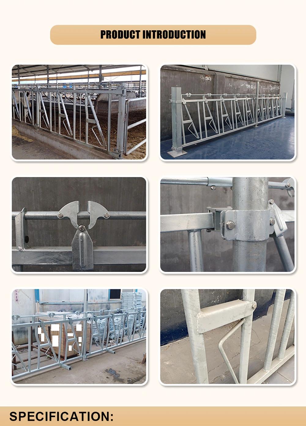 Factory Direct Agricultural Machinery Livestock Equipment Dairy Farm Fence Cattle Head Lock