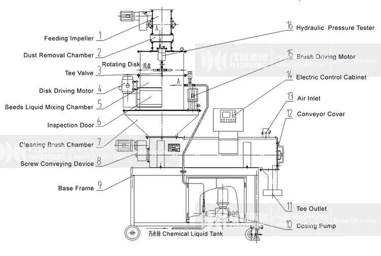 Maize Seed Processing Treating Machine