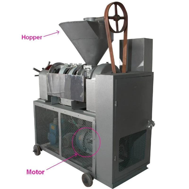 Gihow Factory Price Yzyx10-8wz Automatic Oil Press Machine with Oil Filter Together