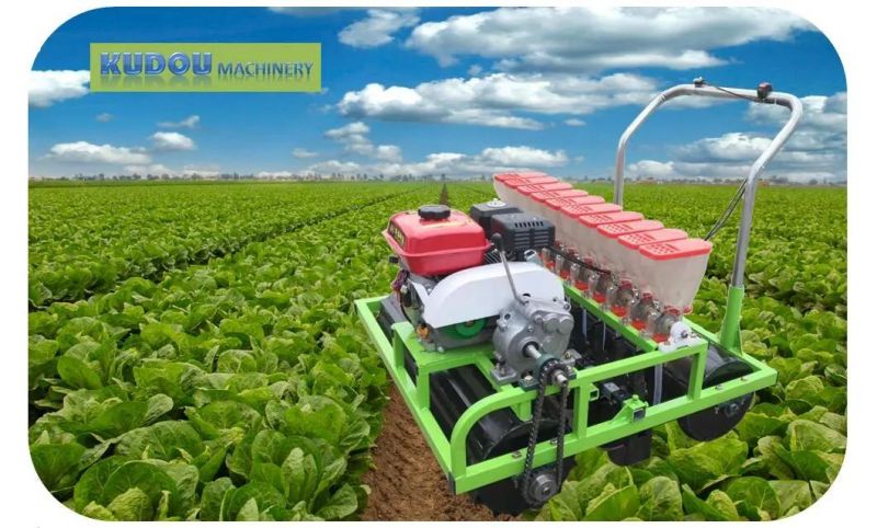 6 Rows Flower Seed Planter / Grass Seeder / Vegetable Seeder (factory selling customization)