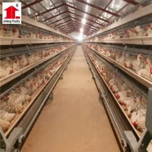 Factory Well Designed Animal Cages&Chicken Cage for Poultry Farm