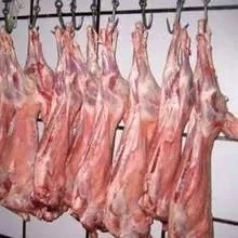 Goat Halal Slaughterhouse for Cutting The Meat