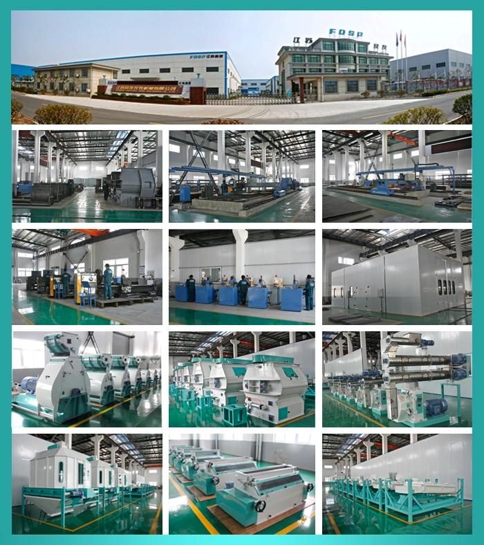 China Great Design Fertilizer Granule Making Machine