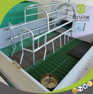 Made in China Supplier Farrowing Crate Design for Pig Farm