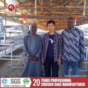 Layer Battery Cage with Automatic Feeding System in African Farm (A-3L120)