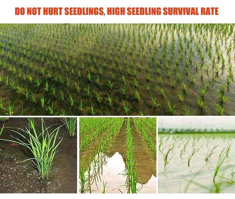 4 Row Handle Type Rice Transplanter Philippines Price for Sale