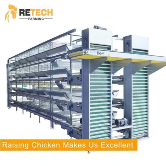 Automatic H Type Poultry Cage Layer Chicken Battery Cages
