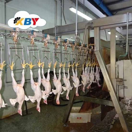 Used for Chicken Slaughter/Butcher/Slaughter House Machine