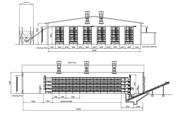 Steel Structure Prefabricated Building in Poultry