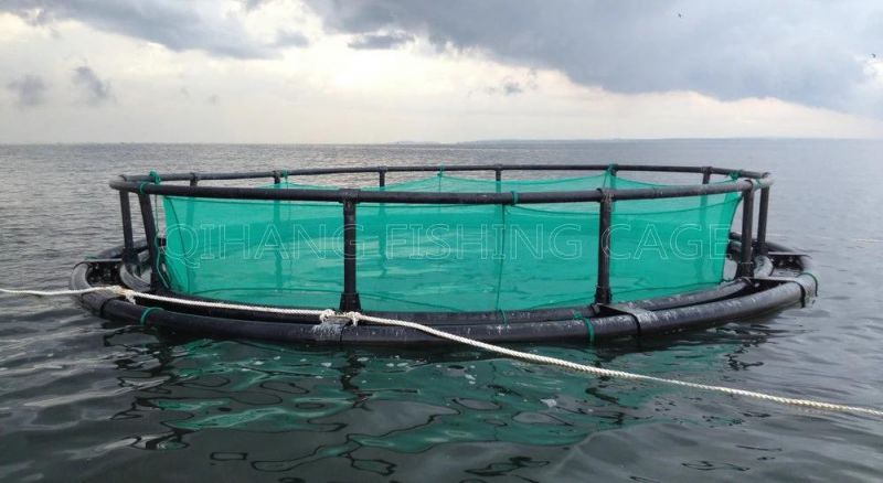 Deep Sea Fish Farming Cage