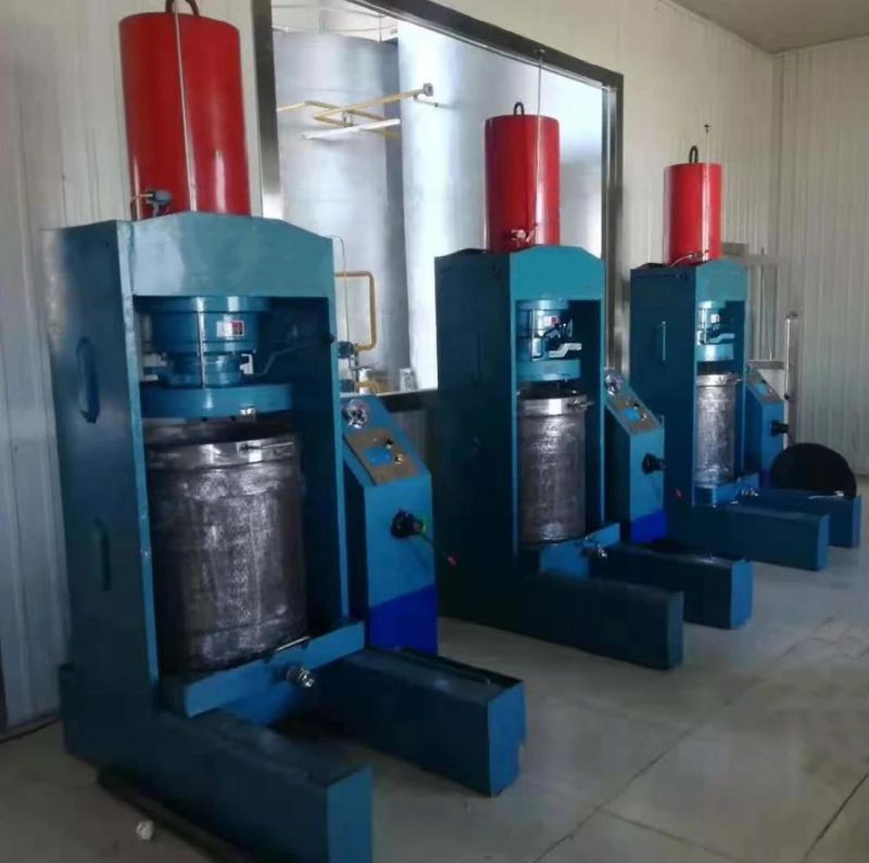 550kg/H Avocado Oil Cold Extraction Line/Hydraulic Oil Press Machine