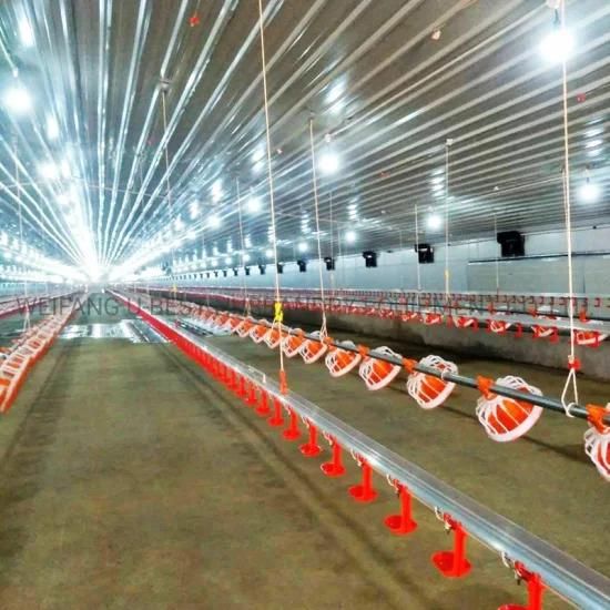 Steel Structure House Agricultural Machinery Poultry Chicken Farming Feeder and Drinker