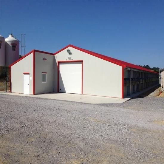 Self Manufactured Full-Automatic Easily Managed Steel Chicken House Poultry Farm