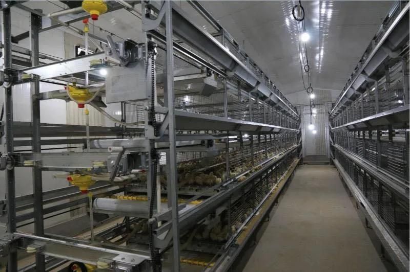 Poultry Farm with Equipment