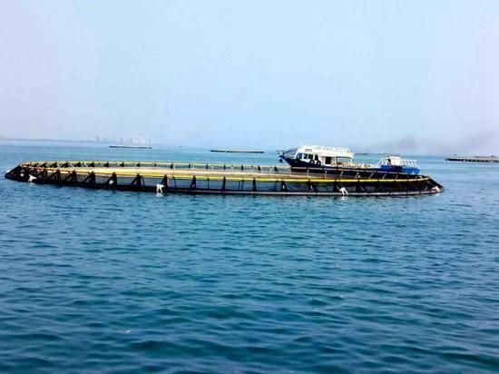 Traditional Suqare Fish Floating Fish Cage Aquaculture for Tilapia