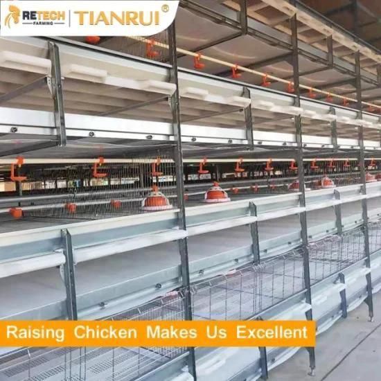 H Type Broiler Cage System for Poultry Farming