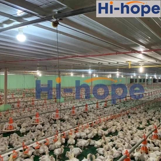 Complete Modern Broiler Automatic Chicken Poultry Farm Equipment
