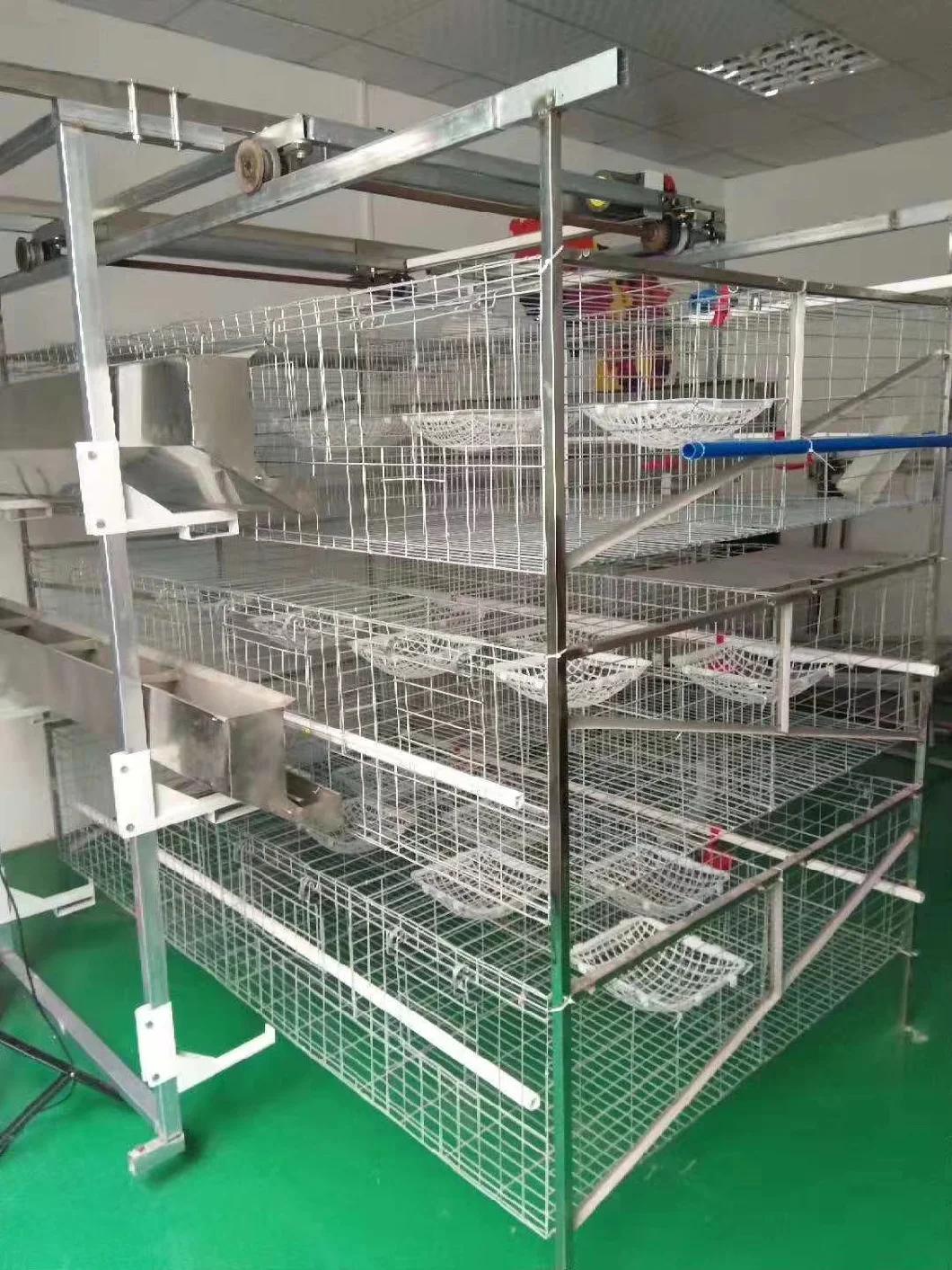 High-End Quality Pigeon Equipment and Pigeon Houses