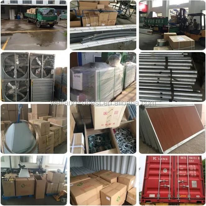 Chicken Poultry Farm Feed Pans