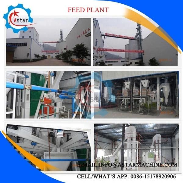 From a to Z Complete Chicken Feed Mill Plant