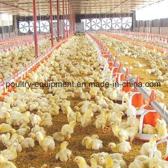 Automatic Modern Feeder Pan System for Broiler Chicken/Breeder Chicken/Layer Chicken