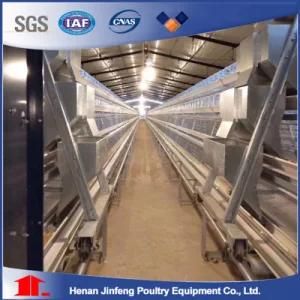 Poultry Supplier Poultry Farm Design Chicken Feeding Cages